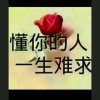 雨蝶的头像