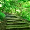 路的头像