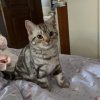 「悦音」 闪耀.的头像