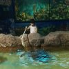 流星雨的头像
