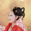 仅此一梅暂退的头像