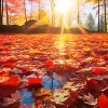 张俊萍的头像