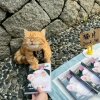 恩赐·青的头像
