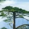 故乡云的头像