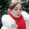 坚强玫瑰的头像