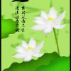 绿草的头像