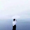 政《郑》含的头像