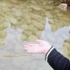 蝶影的头像