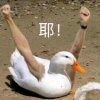 晚的头像