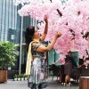百合花的头像