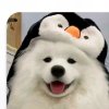 ゞ涵兮ஒ的头像