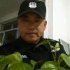 双木成林的头像