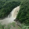 听雨【中国•凉都】的头像