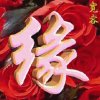 *亦薇*的头像