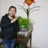 五贝勒家族（惜缘）的头像