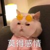 大吉的头像
