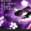 徐宝军的头像