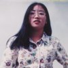 …断木有根的头像