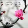 踏雪寻梅的头像