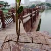 执着范【暂离】的头像