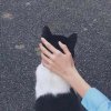 郑溢的头像