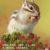 相濡以沫的头像
