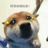 人丑唱歌烂的头像