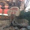 杨六郎的头像