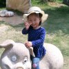健康快乐就好！的头像