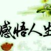 鹤啸九天的头像