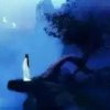 飞天的头像