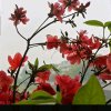 春华秋实的头像