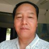 小白杨的头像