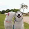 取什么名字好丶的头像