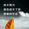 无忧(☆_☆)宇的头像