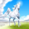水之韵的头像