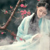 如风的头像