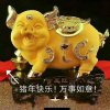 梓的头像