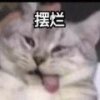 花泽娃娃菜的头像