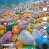 龍的头像