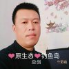 钓鱼dao的头像