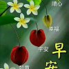 微笑的头像