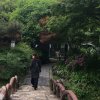 百合的头像