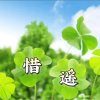 惜遥的头像