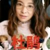 宏飞杜鹃的头像