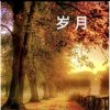 好人一生平安。的头像