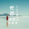 国际皇族雪宝（忙碌）的头像