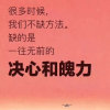 双木林的头像