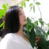  幸福的笨女人的头像