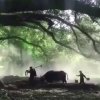 千里马的头像